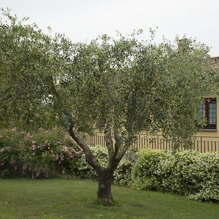 Agriturismo Scuderie Della Contea Sutri Eksteriør bilde