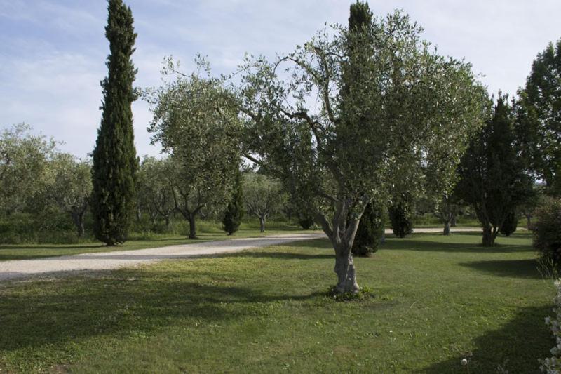 Agriturismo Scuderie Della Contea Sutri Eksteriør bilde