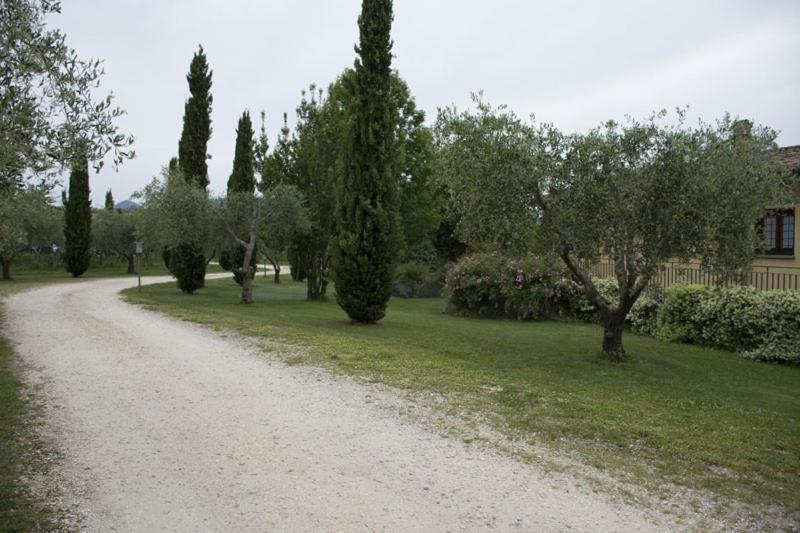 Agriturismo Scuderie Della Contea Sutri Eksteriør bilde