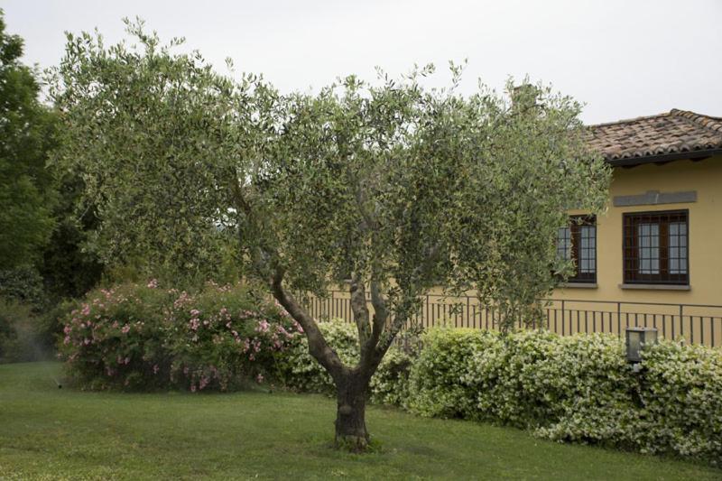 Agriturismo Scuderie Della Contea Sutri Eksteriør bilde